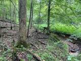  Boggs Fork Road - Photo 4