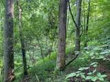  Boggs Fork Road - Photo 5