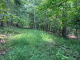  Boggs Fork Road - Photo 8