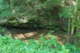 0002 Big Root Road - Photo 11