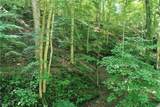0002 Big Root Road - Photo 13