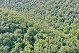0002 Big Root Road - Photo 2