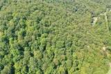 0002 Big Root Road - Photo 4