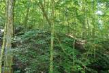 0002 Big Root Road - Photo 9