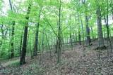Tract 19 Zion Ridge Road - Photo 10
