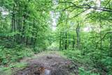 Tract 19 Zion Ridge Road - Photo 2