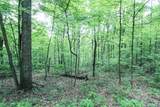 Tract 19 Zion Ridge Road - Photo 4