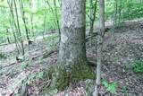 Tract 19 Zion Ridge Road - Photo 7