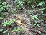  Shepards Hill Road - Photo 17