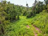  Barr Hollow Road - Photo 29