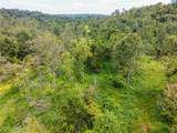  Barr Hollow Road - Photo 38