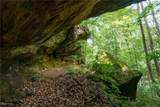 34799 Paw Rd - Photo 24