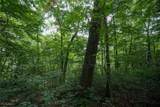 34799 Paw Rd - Photo 37