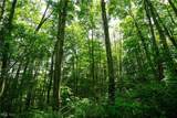 34799 Paw Rd - Photo 38