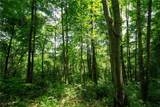 34799 Paw Rd - Photo 39