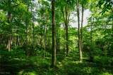34799 Paw Rd - Photo 43