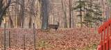22601 Harms Road - Photo 38