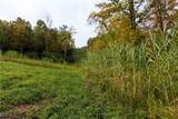 38100 Ogles Ridge Road - Photo 30
