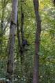 38100 Ogles Ridge Road - Photo 40