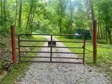 325 Fork Road - Photo 8