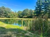 4875 Cadwallader Sonk Road - Photo 47