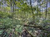 Lot 1 Shinn Road - Photo 13
