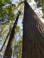  Beech Fork Road - Photo 11