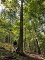  Beech Fork Road - Photo 18