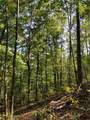  Beech Fork Road - Photo 19