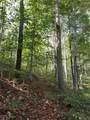  Beech Fork Road - Photo 20