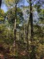  Beech Fork Road - Photo 21