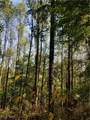  Beech Fork Road - Photo 22