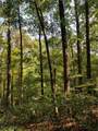  Beech Fork Road - Photo 23
