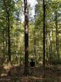  Beech Fork Road - Photo 8