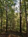  Beech Fork Road - Photo 9