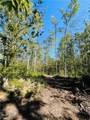 1749 Black Sea Road - Photo 2