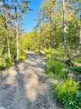 0000 Black Sea Road - Photo 2