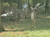  Harding- 36B Road - Photo 2