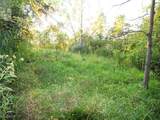 8 acres Whiskey Run Road - Photo 12