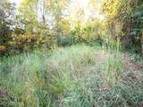 8 acres Whiskey Run Road - Photo 13