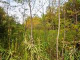 8 acres Whiskey Run Road - Photo 15