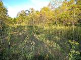 8 acres Whiskey Run Road - Photo 2
