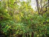 8 acres Whiskey Run Road - Photo 3