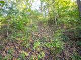 8 acres Whiskey Run Road - Photo 4