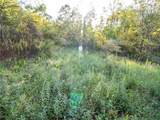 8 acres Whiskey Run Road - Photo 5