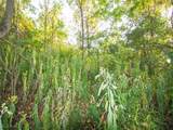 8 acres Whiskey Run Road - Photo 9