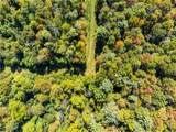 34561 Sunshine Road - Photo 16