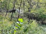 1990 Meathouse Fork Road - Photo 12