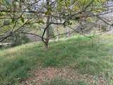 1990 Meathouse Fork Road - Photo 8