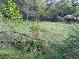 1990 Meathouse Fork Road - Photo 9